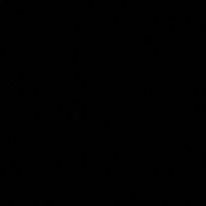 Meet your Posher, Karla